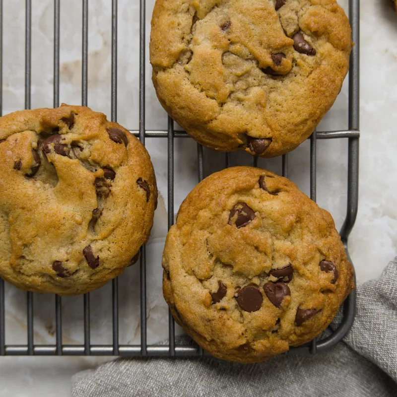 Classic Chocolate Chip Cookie